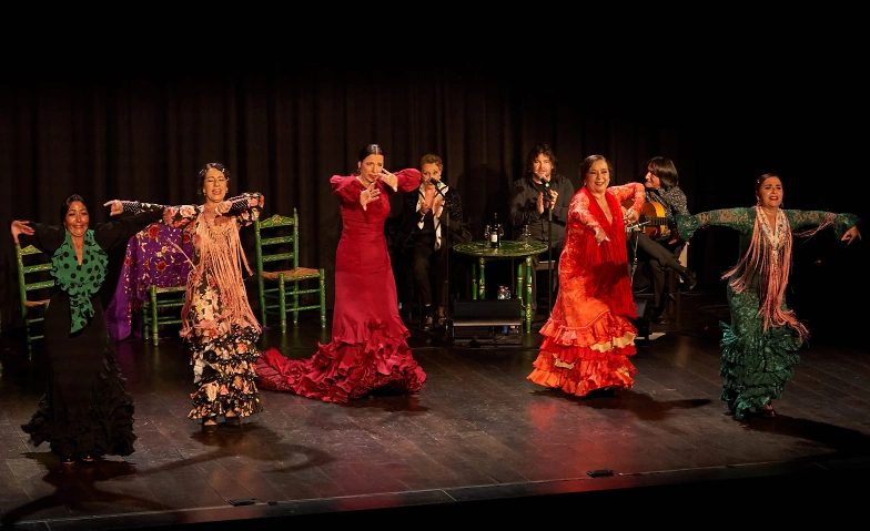 Flamenco - Viva Jerez!
