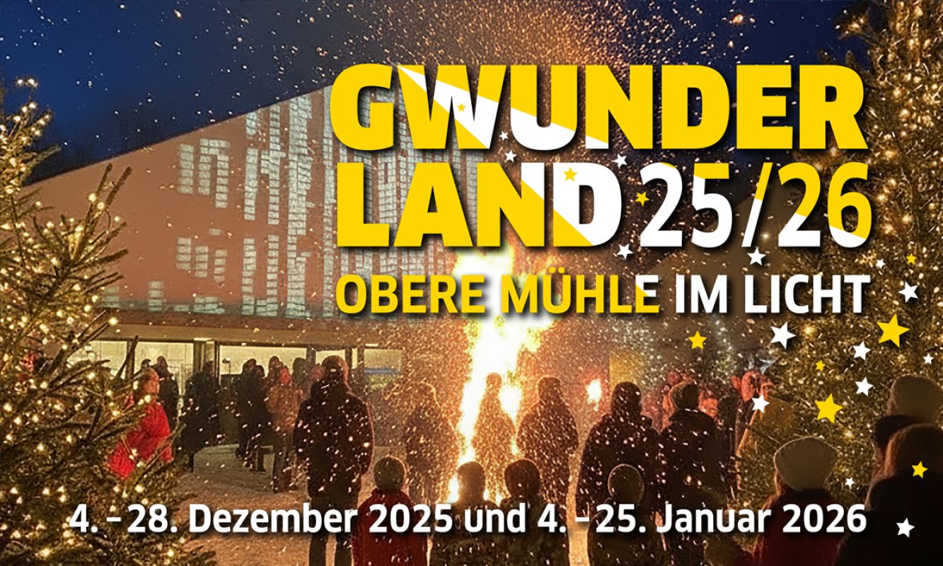 Gwunderland, Winter, Lichter, Weihnachten, Kultur, Nachtlicht, Projektion